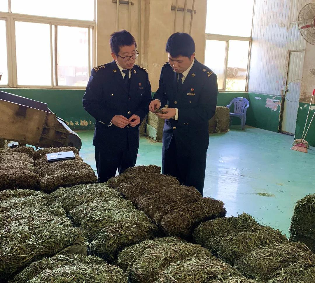 穩(wěn)外貿(mào)在身邊 | 政策落到實處，百姓甜到心里